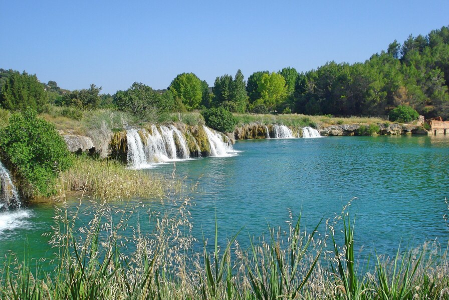 wild swimming