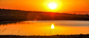 Nambiti Private Game Reserve
