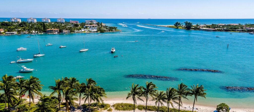 The Palm Beaches