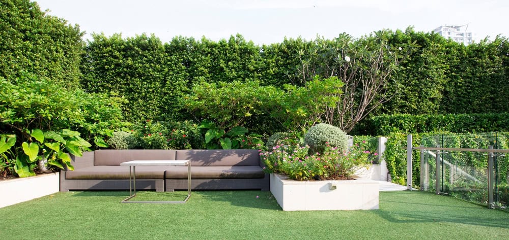 plants for garden privacy