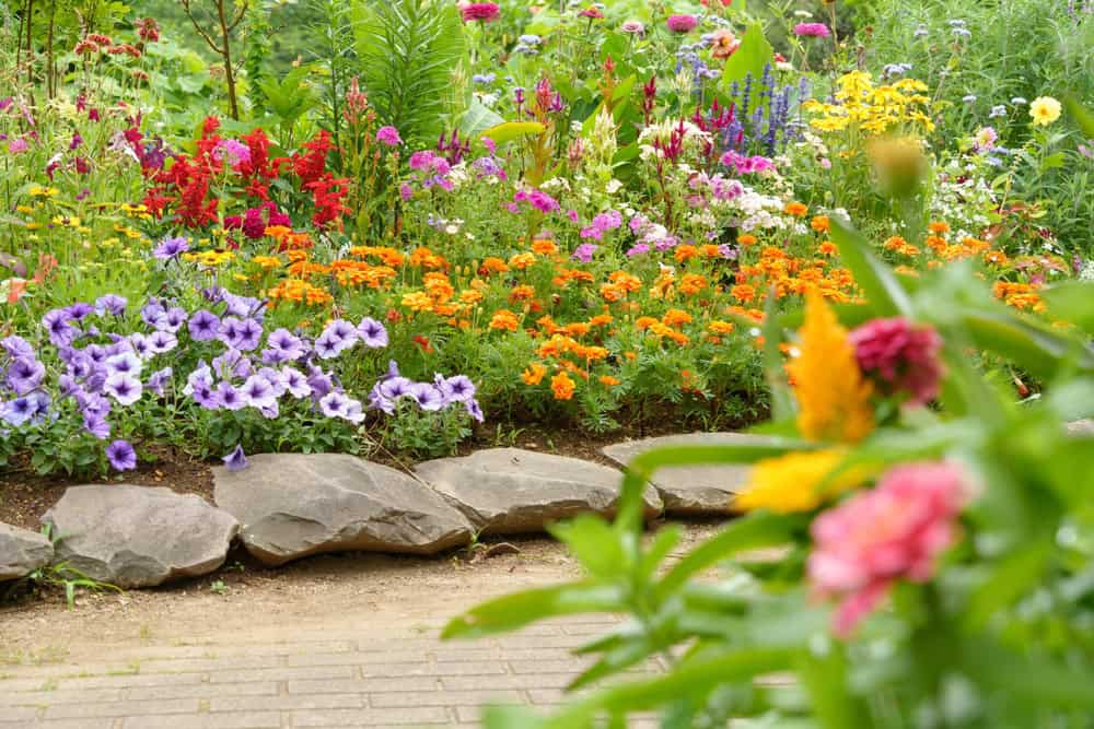 how to care for your lawn during a heatwave