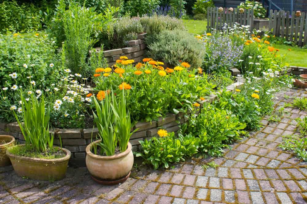 how to care for your lawn during a heatwave